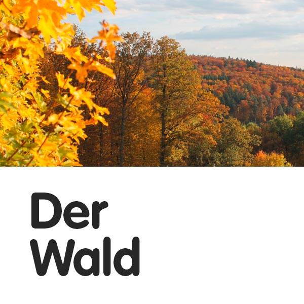 Der Wald